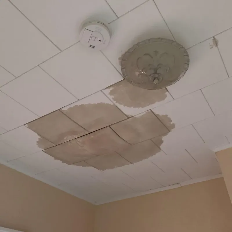Ceiling Water Damage Repair in Hewitt, TX