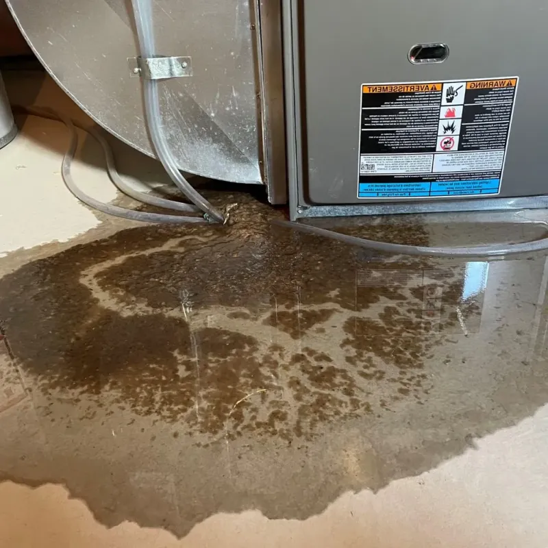 Pipe Burst and Leak Restoration in Hewitt, TX
