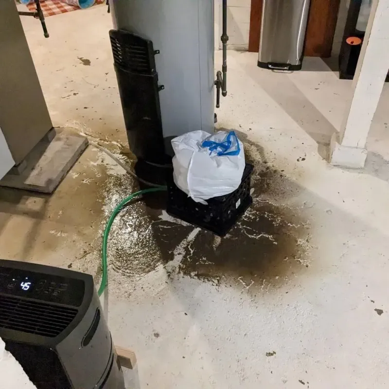 Sewage Backup Cleanup Service in Hewitt, TX